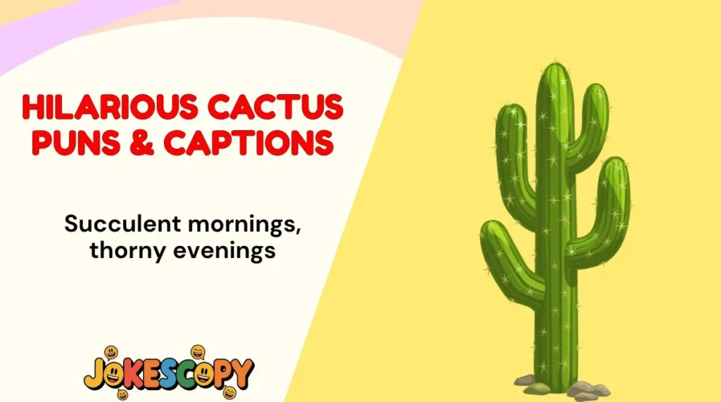 Hilarious Cactus Puns & Captions