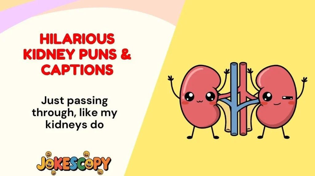 Hilarious Kidney Puns & Captions