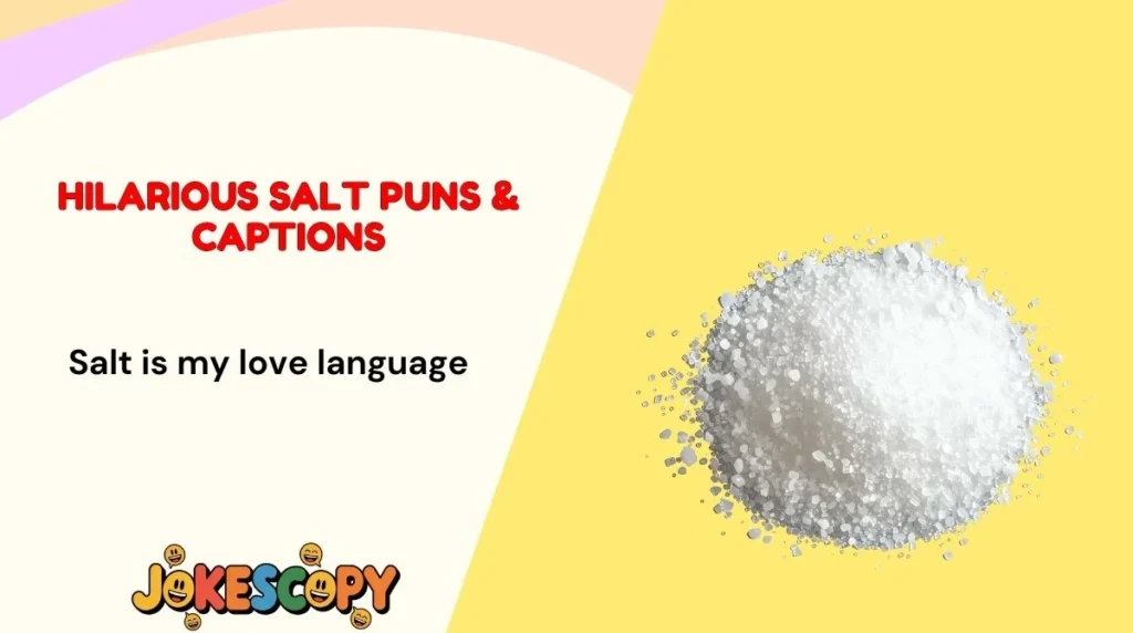 Hilarious Salt Puns & Captions