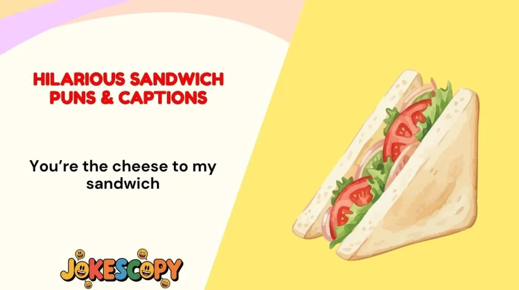 Hilarious Sandwich Puns & Captions