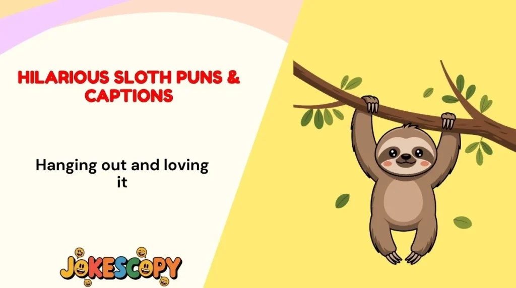 Hilarious Sloth Puns & Captions
