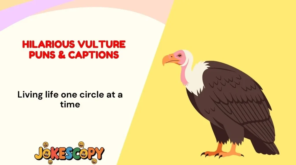 Hilarious Vulture Puns & Captions