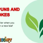 Leaf Puns and Jokes