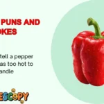 Pepper Puns and Jokes
