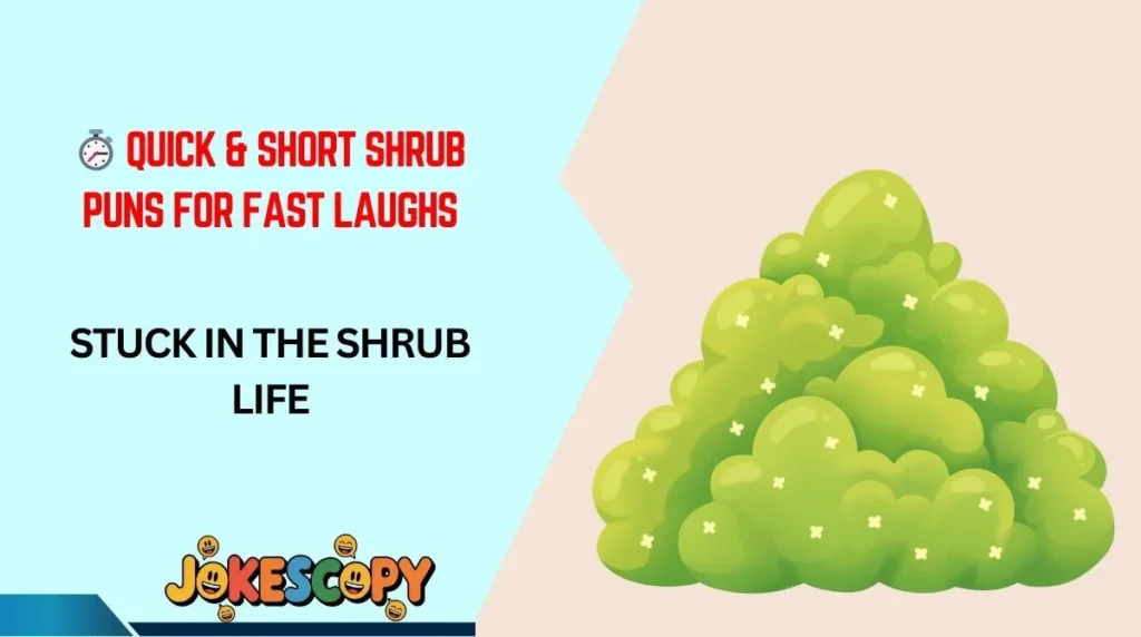 ⏱️ Quick & Short Shrub Puns for Fast Laughs