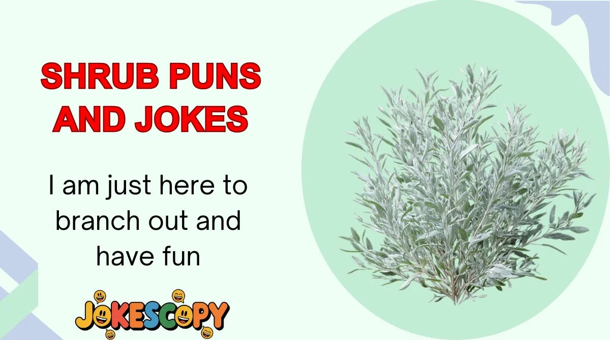 Shrub Puns and Jokes