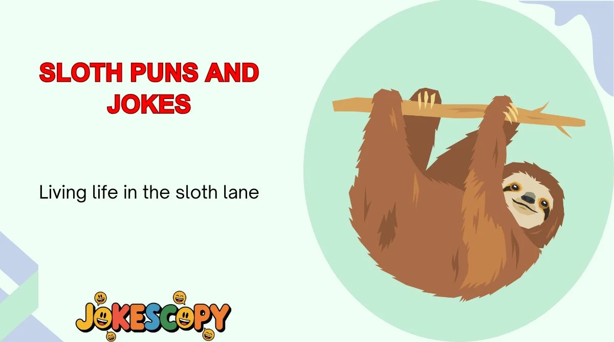 Sloth Puns and Jokes