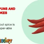 Spice Puns and Jokes