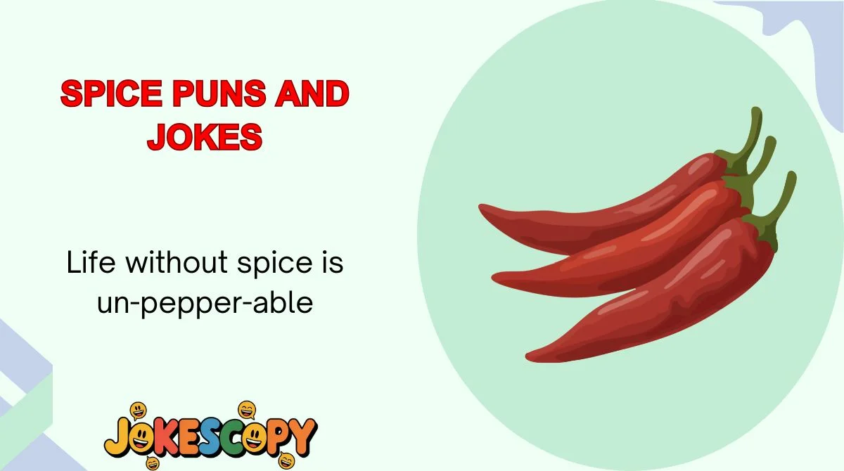 Spice Puns and Jokes