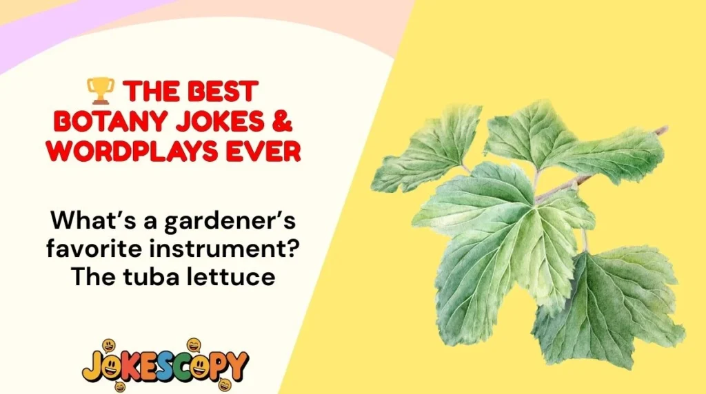 🏆 The Best Botany Jokes & Wordplays Ever