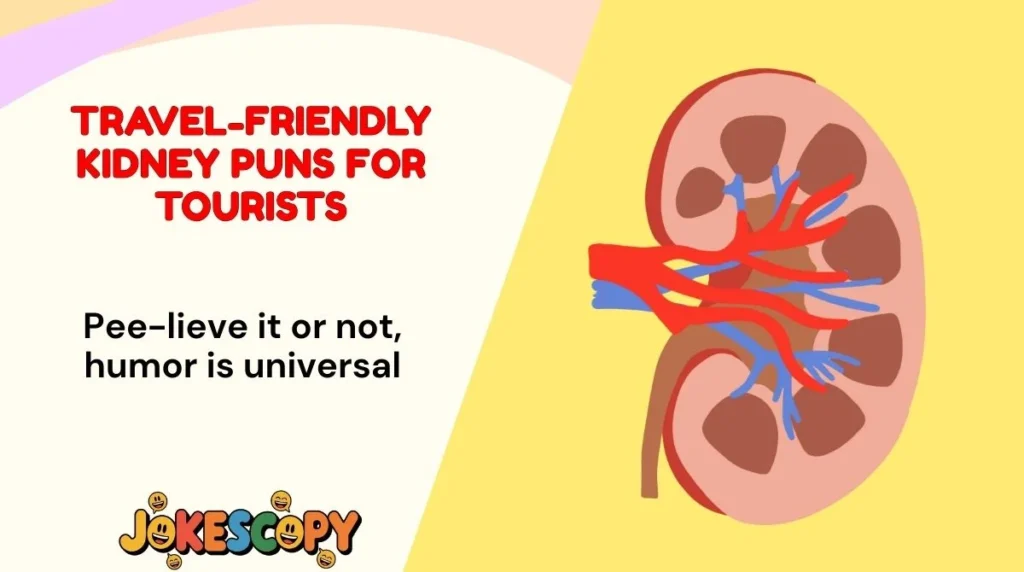 Travel-Friendly Kidney Puns for Tourists