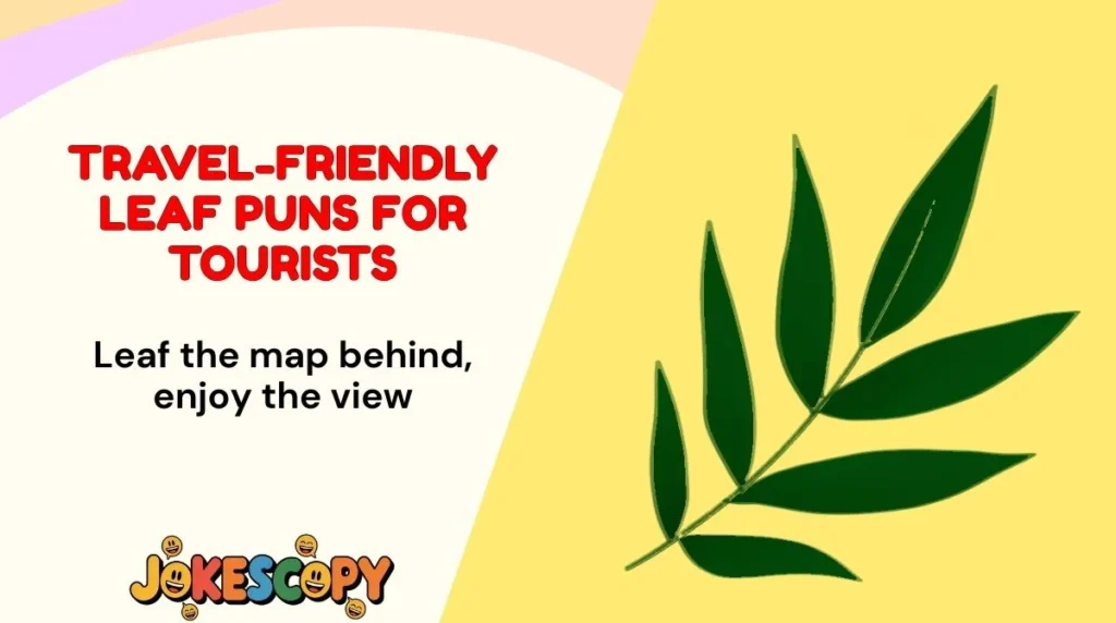 Leaf the map behind, enjoy the view