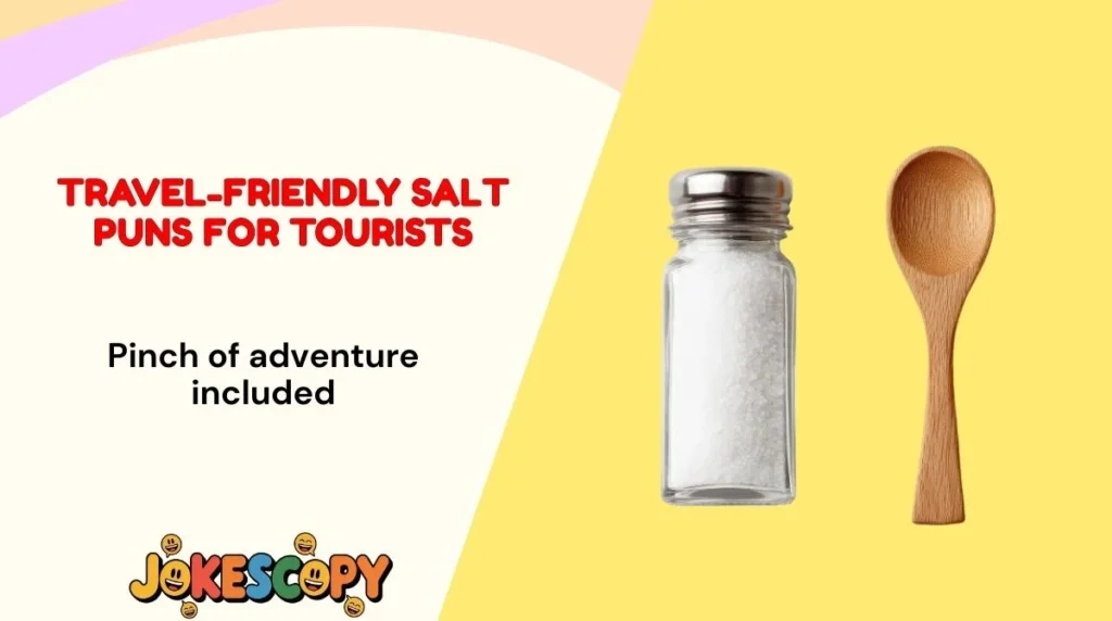 Travel-Friendly Salt Puns for Tourists