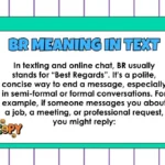 BR Meaning in Text