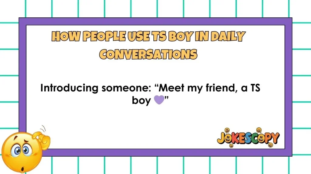 How People Use TS Boy in Daily Conversations