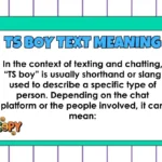 TS Boy Text Meaning