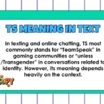 TS Meaning in Text