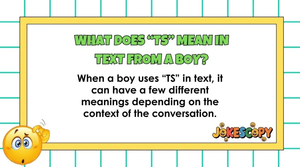 What does “TS” mean in text from a boy?