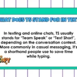 What Does TS Stand For in Text?