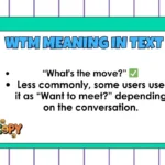 WTM Meaning in Text