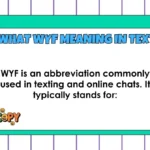 WYF Meaning in Text