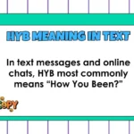HYB Meaning in Text