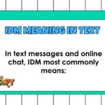IDM Meaning in Text