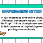 STFU Meaning in Text