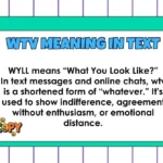 WTV Meaning in Text
